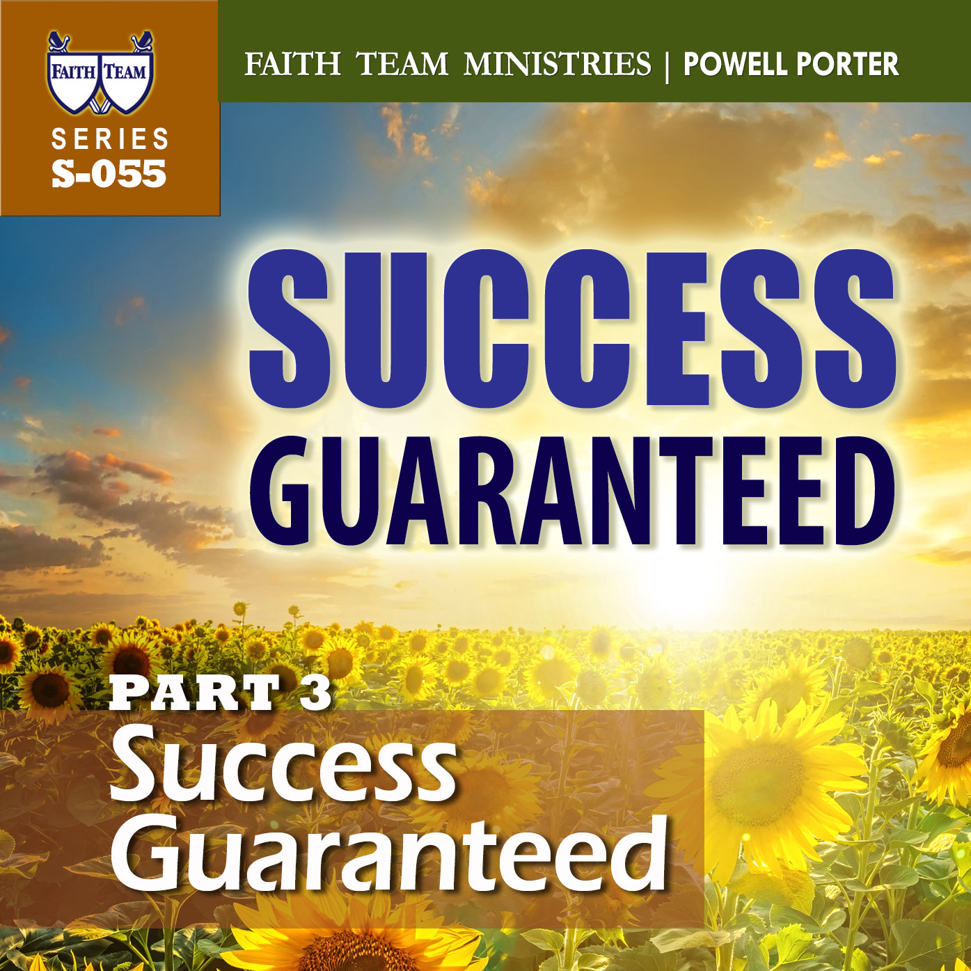 SUCCESS GUARANTEED | Part 3: Success Guaranteed