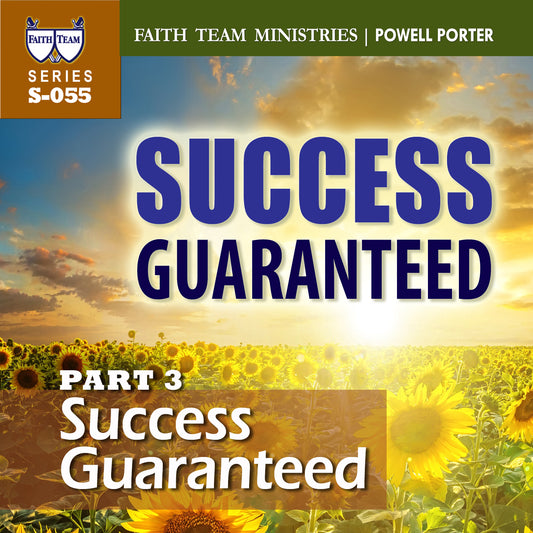 SUCCESS GUARANTEED | Part 3: Success Guaranteed